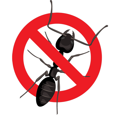 Eugene Carpenter Ant Control - exterminator