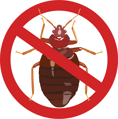 Eugene Carpet Beetle Control - exterminator