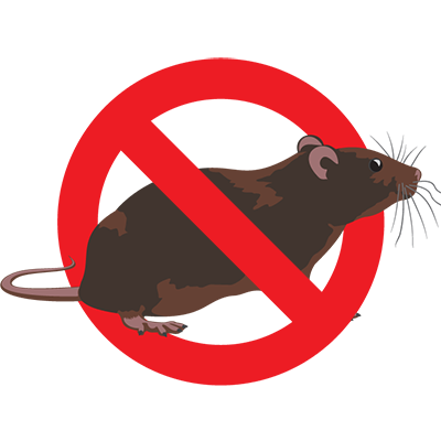 Eugene Mice Control Company - cute mouse art