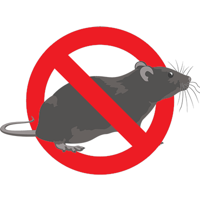 Eugene Rat Control - Exterminator
