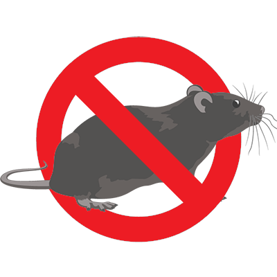 drowned rat clipart rodents