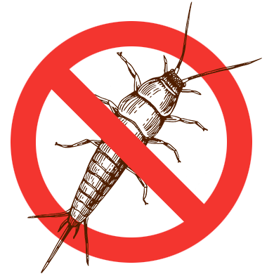 Eugene Silverfish Control - exterminator