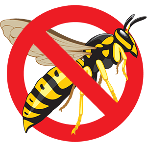 Eugene Wasp Control - Exterminator