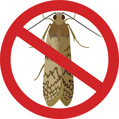Eugene Moth Control Company - Moth Art
