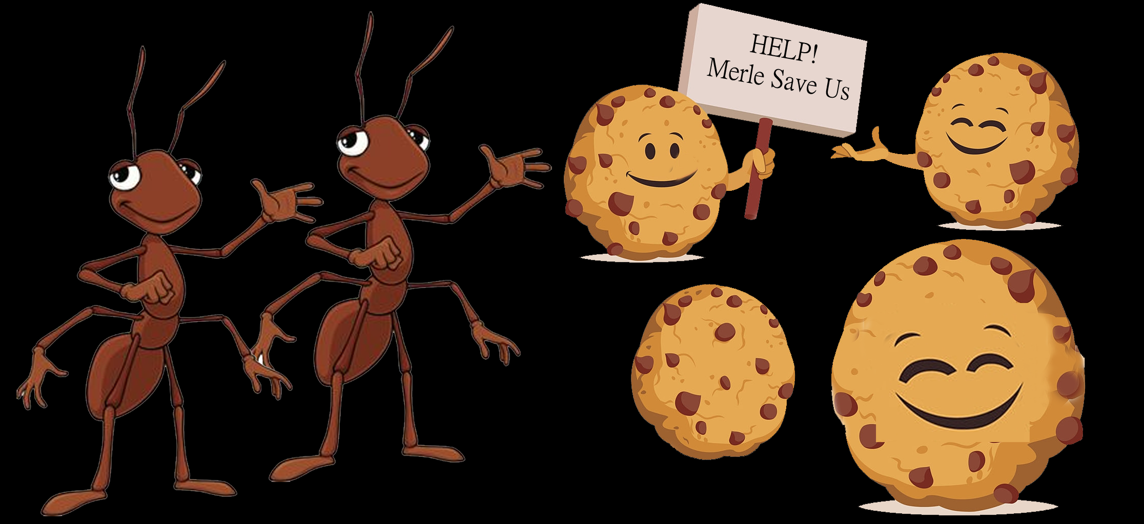 Eugene Oregon Pest control company - Ants & Cookies